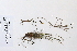  ( - 09PROBE-05577)  @11 [ ] Copyright (2010) Unspecified Unspecified