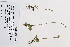 ( - 09PROBE-05591)  @11 [ ] Copyright (2010) Unspecified Unspecified