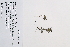  ( - 09PROBE-05601)  @11 [ ] Copyright (2010) Unspecified Unspecified