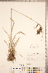  ( - CCDB-18294-D01)  @11 [ ] No Rights Reserved (2014) Deb Metsger Royal Ontario Museum