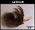  ( - LMBSCt15-001)  @13 [ ] Unspecified (default): All Rights Reserved  Unspecified Unspecified
