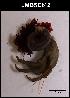  ( - LMBSCt15-002)  @13 [ ] Unspecified (default): All Rights Reserved  Unspecified Unspecified