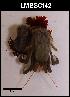  ( - LMBSCt15-002)  @13 [ ] Unspecified (default): All Rights Reserved  Unspecified Unspecified