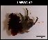 ( - LMBSCt15-002)  @13 [ ] Unspecified (default): All Rights Reserved  Unspecified Unspecified