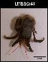  ( - LMBSCt15-003)  @13 [ ] Unspecified (default): All Rights Reserved  Unspecified Unspecified