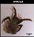  ( - LMBSCt15-005)  @13 [ ] Unspecified (default): All Rights Reserved  Unspecified Unspecified