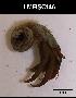  ( - LMBSCt15-006)  @11 [ ] Unspecified (default): All Rights Reserved  Unspecified Unspecified
