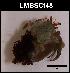  ( - LMBSCt15-008)  @11 [ ] Unspecified (default): All Rights Reserved  Unspecified Unspecified