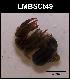  ( - LMBSCt15-009)  @11 [ ] Unspecified (default): All Rights Reserved  Unspecified Unspecified