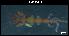  (Caprella andreae - LMBSST10-001)  @11 [ ] Unspecified (default): All Rights Reserved  Unspecified Unspecified