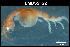  ( - LMBSST10-002)  @11 [ ] Unspecified (default): All Rights Reserved  Unspecified Unspecified
