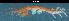  ( - LMBSST10-003)  @11 [ ] Unspecified (default): All Rights Reserved  Unspecified Unspecified