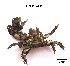  ( - LMBSAP17-001)  @13 [ ] Unspecified (default): All Rights Reserved  Unspecified Unspecified