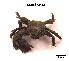 ( - LMBSAP17-001)  @13 [ ] Unspecified (default): All Rights Reserved  Unspecified Unspecified