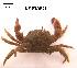  ( - LMBSAP15-002)  @13 [ ] Unspecified (default): All Rights Reserved  Unspecified Unspecified