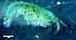  (Parametopa - LMBLP1-001)  @11 [ ] Unspecified (default): All Rights Reserved  Unspecified Unspecified