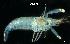  ( - LMBSAP1-001)  @11 [ ] Unspecified (default): All Rights Reserved  Unspecified Unspecified