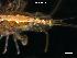  ( - LMBSAP1-005)  @13 [ ] Unspecified (default): All Rights Reserved  Unspecified Unspecified