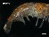  ( - LMBSAP1-003)  @13 [ ] Unspecified (default): All Rights Reserved  Unspecified Unspecified
