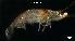  ( - LMBSAP1-003)  @13 [ ] Unspecified (default): All Rights Reserved  Unspecified Unspecified