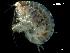  ( - LMBTRO7-001)  @11 [ ] Unspecified (default): All Rights Reserved  Unspecified Unspecified