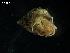  ( - SAP96)  @13 [ ] Unspecified (default): All Rights Reserved  Unspecified Unspecified