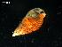 ( - SAP98)  @12 [ ] Unspecified (default): All Rights Reserved  Unspecified Unspecified