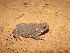  ( - CREG ECOMOL RSV-019)  @13 [ ] Copyright (2010) Unspecified CREG