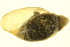  ( - 08BBMOL-0087)  @13 [ ] CreativeCommons - Attribution (2010) Unspecified Centre for Biodiversity Genomics