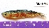  ( - MLFPM4)  @11 [ ] Unspecified (default): All Rights Reserved  Unspecified Unspecified