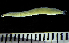  ( - MFL1221)  @13 [ ] Unspecified (default): All Rights Reserved  Unspecified Unspecified