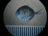  ( - MFL1357)  @11 [ ] Unspecified (default): All Rights Reserved  Unspecified Unspecified