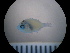  ( - MFL1365)  @12 [ ] Unspecified (default): All Rights Reserved  Unspecified Unspecified