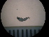  ( - MFL1397)  @12 [ ] Unspecified (default): All Rights Reserved  Unspecified Unspecified