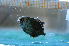  ( - MFL898)  @13 [ ] Unspecified (default): All Rights Reserved  Unspecified Unspecified