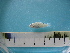  ( - MFL 1002)  @12 [ ] Unspecified (default): All Rights Reserved  Unspecified Unspecified