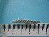  ( - MFL 1010)  @13 [ ] Unspecified (default): All Rights Reserved  Unspecified Unspecified