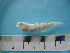  ( - MFL 1033)  @12 [ ] Unspecified (default): All Rights Reserved  Unspecified Unspecified