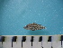  ( - MFL 1053)  @12 [ ] Unspecified (default): All Rights Reserved  Unspecified Unspecified