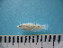  ( - MFL999)  @13 [ ] Unspecified (default): All Rights Reserved  Unspecified Unspecified