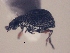  ( - MLPCU0074)  @12 [ ] Unspecified (default): All Rights Reserved  Unspecified Unspecified