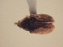  ( - MLPCU0247)  @11 [ ] Unspecified (default): All Rights Reserved  Unspecified Unspecified