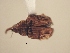  ( - MLPCU0248)  @11 [ ] Unspecified (default): All Rights Reserved  Unspecified Unspecified