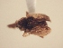  ( - MLPCU0249)  @11 [ ] Unspecified (default): All Rights Reserved  Unspecified Unspecified