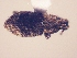  ( - MLPCU0484)  @11 [ ] Unspecified (default): All Rights Reserved  Unspecified Unspecified