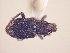  ( - MLPCU0486)  @12 [ ] Unspecified (default): All Rights Reserved  Unspecified Unspecified