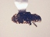  ( - MLPCU0487)  @11 [ ] Unspecified (default): All Rights Reserved  Unspecified Unspecified