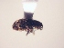  ( - MLPCU0488)  @12 [ ] Unspecified (default): All Rights Reserved  Unspecified Unspecified