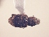  ( - MLPCU0489)  @12 [ ] Unspecified (default): All Rights Reserved  Unspecified Unspecified