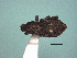 ( - MLPCU0503)  @11 [ ] Unspecified (default): All Rights Reserved  Unspecified Unspecified
